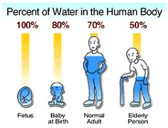 water content in body